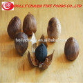 Preventing and curing of cancer solo black garlic